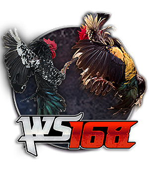 Cockfighting WS168